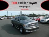 Mineral Gray Metallic Dodge Ram 1500 in 2009