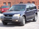2004 True Blue Metallic Ford Escape XLT V6 4WD #6196139