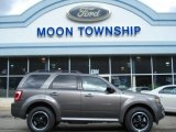 2012 Sterling Gray Metallic Ford Escape XLT Sport AWD #62097904