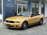2010 Sunset Gold Metallic Ford Mustang V6 Premium Convertible #62159338