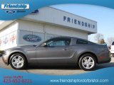 2010 Sterling Grey Metallic Ford Mustang V6 Coupe #62312050
