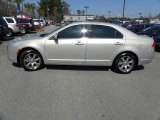 Smokestone Metallic Mercury Milan in 2010