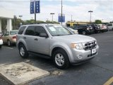 2009 Brilliant Silver Metallic Ford Escape XLT V6 #62377338