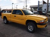 2000 Solar Yellow Dodge Dakota Sport Extended Cab 4x4 #62377288