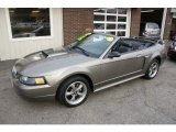 2002 Mineral Grey Metallic Ford Mustang GT Convertible #62377571