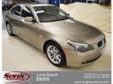 2009 Platinum Bronze Metallic BMW 5 Series 550i Sedan #62377550