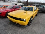 2012 Stinger Yellow Dodge Challenger SRT8 Yellow Jacket #62434418