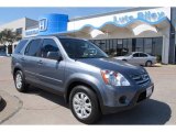 2006 Pewter Pearl Honda CR-V SE 4WD #6217817