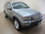 2004 Sterling Grey Metallic BMW X5 4.4i #62433983