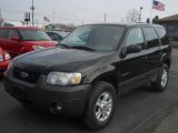 2006 Black Ford Escape XLT V6 4WD #62491204