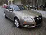 Dakar Beige Metallic Audi A6 in 2009