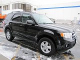2009 Black Ford Escape XLT V6 4WD #62530662