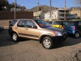 2002 Mojave Mist Metallic Honda CR-V EX 4WD #62530640