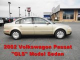 2002 Volkswagen Passat GLS Sedan