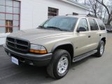 2002 Light Almond Pearl Metallic Dodge Durango Sport 4x4 #62530804