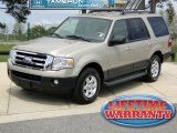 2007 Pueblo Gold Metallic Ford Expedition XLT #62530759