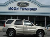 2005 Gold Ash Metallic Ford Escape Limited 4WD #62530457
