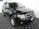 2009 Black Ford Escape XLT V6 4WD #62596460