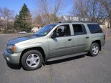 2004 Silver Green Metallic Chevrolet TrailBlazer EXT LS 4x4 #62596764