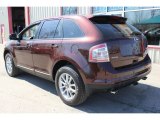 2009 Ford Edge SEL AWD Exterior