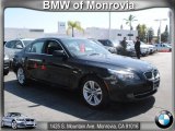 2009 Jet Black BMW 5 Series 528i Sedan #62596323