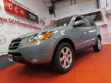 2008 Steel Gray Hyundai Santa Fe SE #62596602