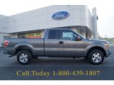 2011 Sterling Grey Metallic Ford F150 XLT SuperCab #62596264