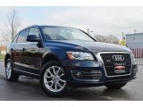 2009 Deep Sea Blue Pearl Effect Audi Q5 3.2 Premium quattro #62663248