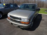 1999 Light Pewter Metallic Chevrolet S10 Regular Cab #62663430