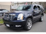 2009 Blue Chip Cadillac Escalade AWD #62663141