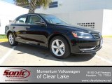 2012 Volkswagen Passat 2.5L SE