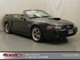 2004 Ford Mustang GT Convertible