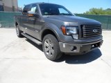 Sterling Gray Metallic Ford F150 in 2012