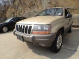2001 Champagne Pearl Jeep Grand Cherokee Laredo 4x4 #62758283