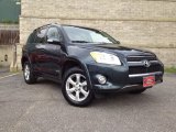 2009 Black Forest Pearl Toyota RAV4 Limited 4WD #62758066