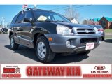 2005 Black Obsidian Hyundai Santa Fe LX 3.5 #62865752