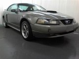 2001 Mineral Grey Metallic Ford Mustang GT Coupe #62865171