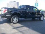 2010 Tuxedo Black Ford F150 Platinum SuperCrew 4x4 #62864427