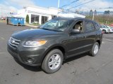 Black Forest Green Hyundai Santa Fe in 2012