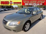 2010 Hyundai Sonata GLS