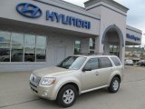 2010 Mercury Mariner I4 4WD
