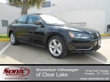 2012 Volkswagen Passat 2.5L SE