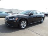 2012 Volkswagen Passat 2.5L SE