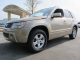 Clear Beige Metallic Suzuki Grand Vitara in 2007