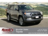 2012 Magnetic Gray Metallic Toyota 4Runner Limited 4x4 #62976027