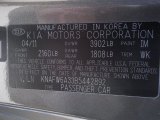 2011 Forte Koup Color Code for Titanium - Color Code: IM