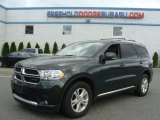 2011 Natural Green Pearl Dodge Durango Crew 4x4 #63038810