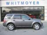 2012 Sterling Gray Metallic Ford Escape XLT V6 4WD #63038502