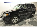 2010 Ford Escape Limited V6 4WD