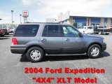 2004 Dark Shadow Grey Metallic Ford Expedition XLT 4x4 #63038710